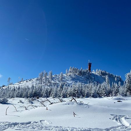 Bergtraum Braunlage Im Harz, 17 Gaeste, Sauna, Pool Villa Екстериор снимка
