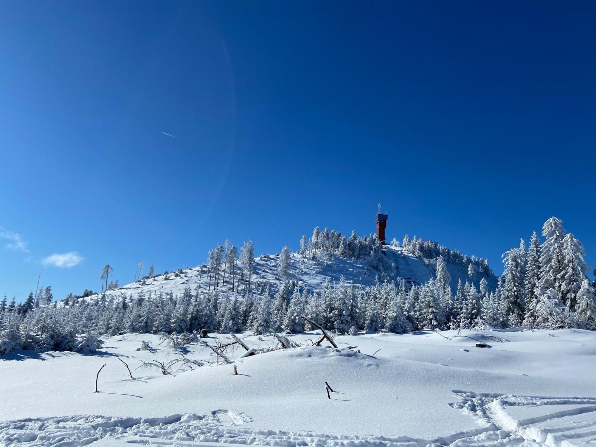 Bergtraum Braunlage Im Harz, 17 Gaeste, Sauna, Pool Villa Екстериор снимка