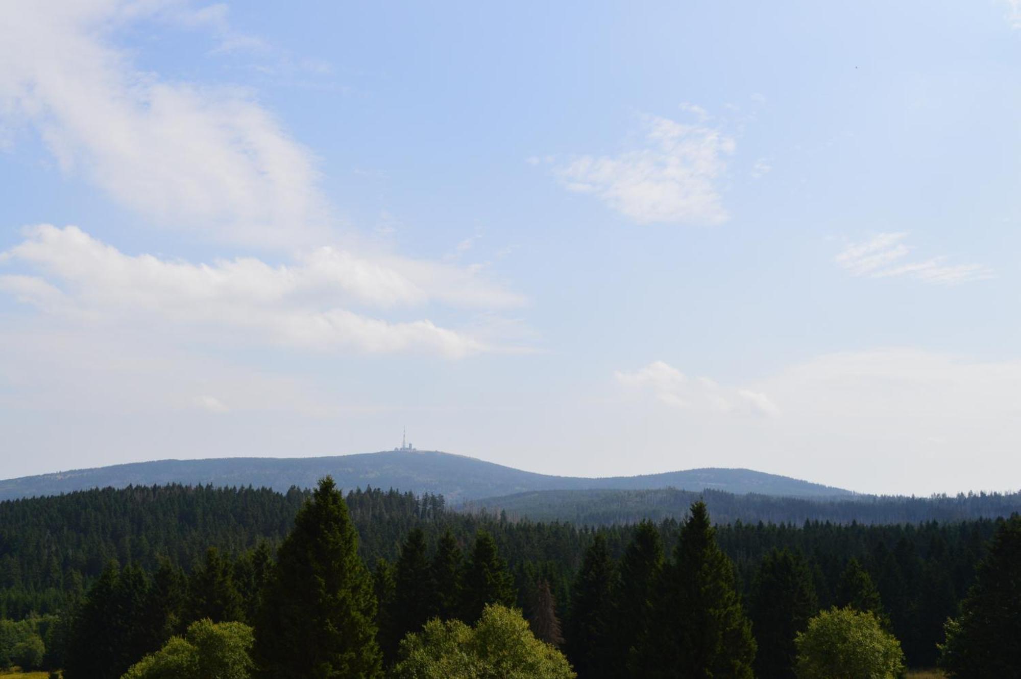 Bergtraum Braunlage Im Harz, 17 Gaeste, Sauna, Pool Villa Екстериор снимка
