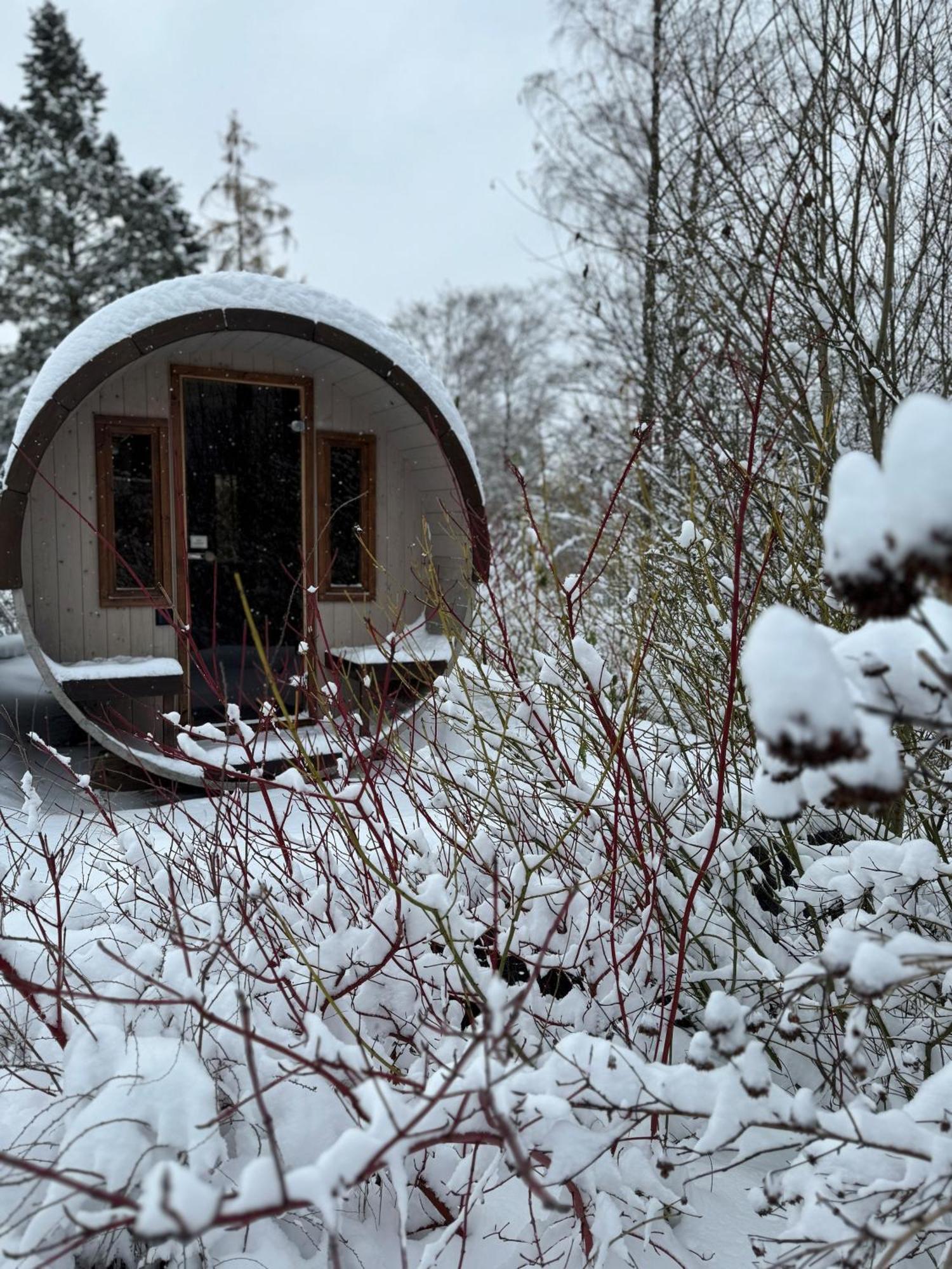 Bergtraum Braunlage Im Harz, 17 Gaeste, Sauna, Pool Villa Екстериор снимка