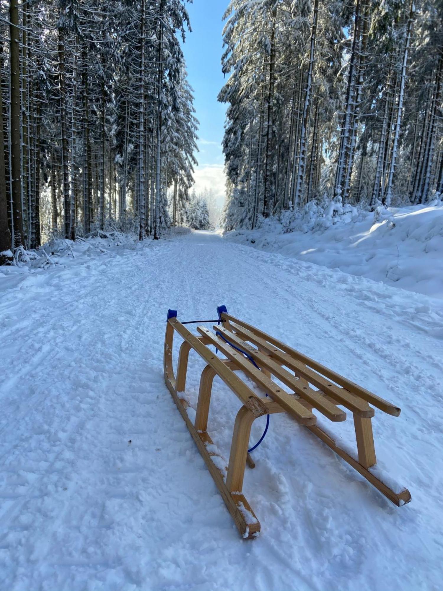Bergtraum Braunlage Im Harz, 17 Gaeste, Sauna, Pool Villa Екстериор снимка